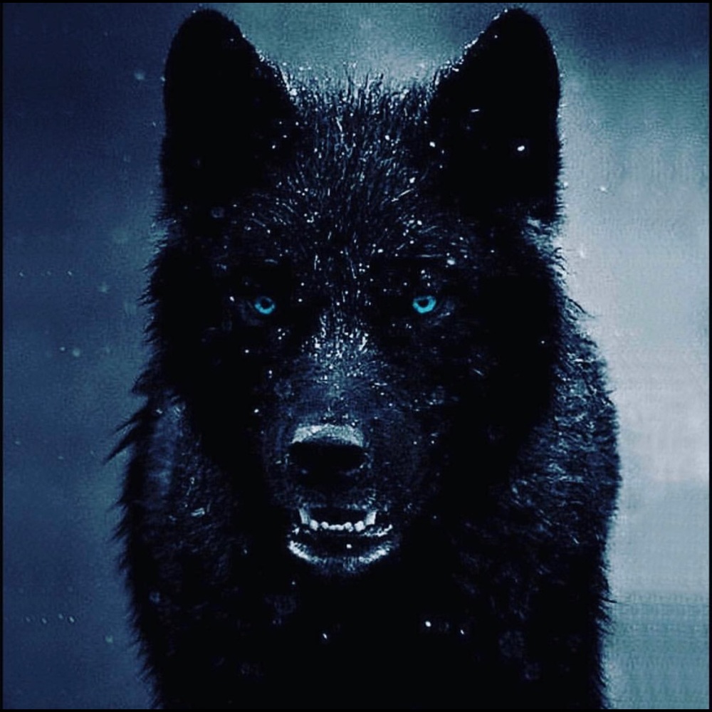 Meet your Posher, Yahoooodadon